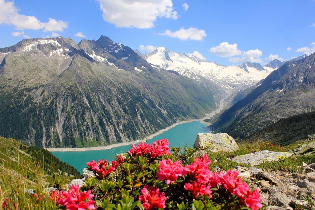 Alpen Appartements Hochmuth Майерхофен Стая снимка